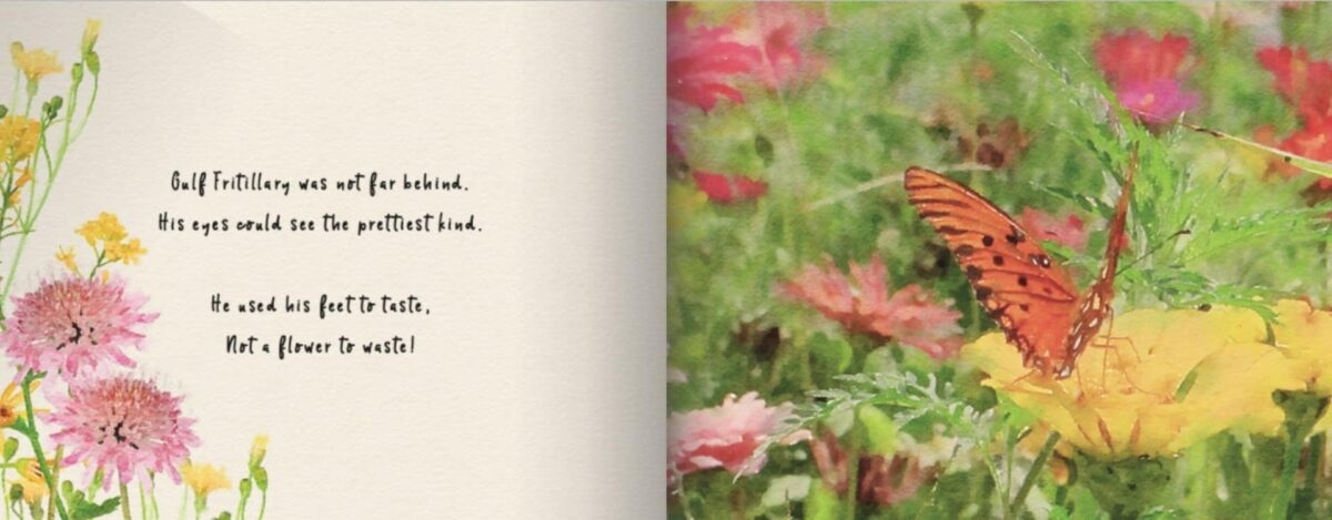 The Butterfly Ball by Kathryn Trainor