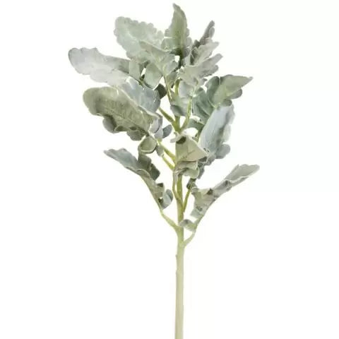 18” Dusty Miller Spray