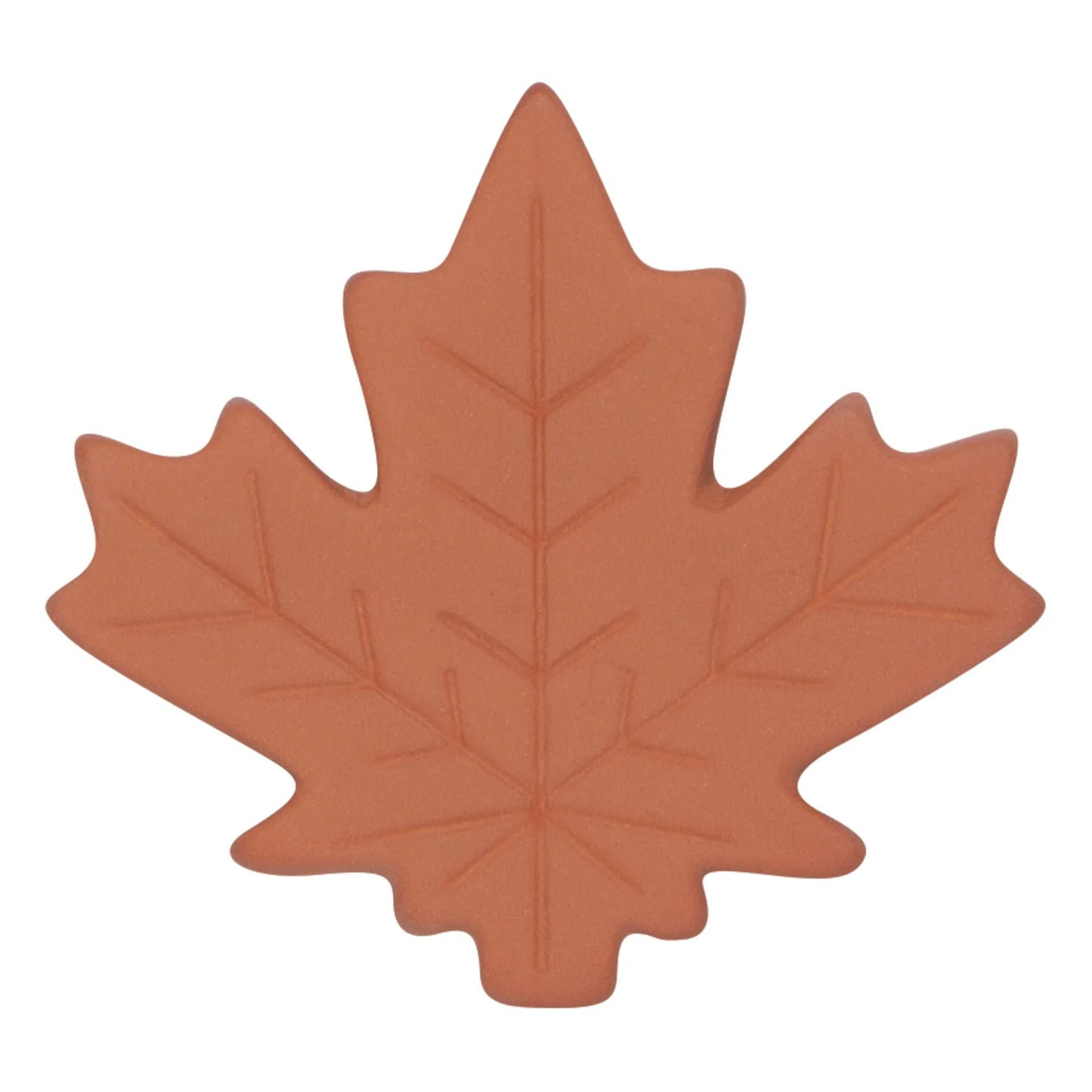 Maple Leaf Terracotta Sugar
Saver