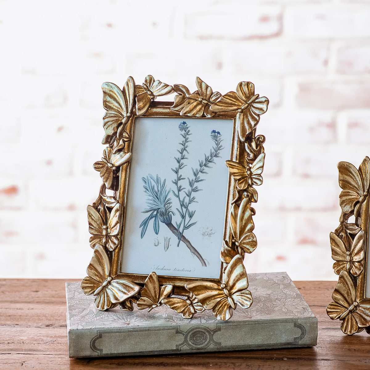 Bronze Butterfly Photo Frame