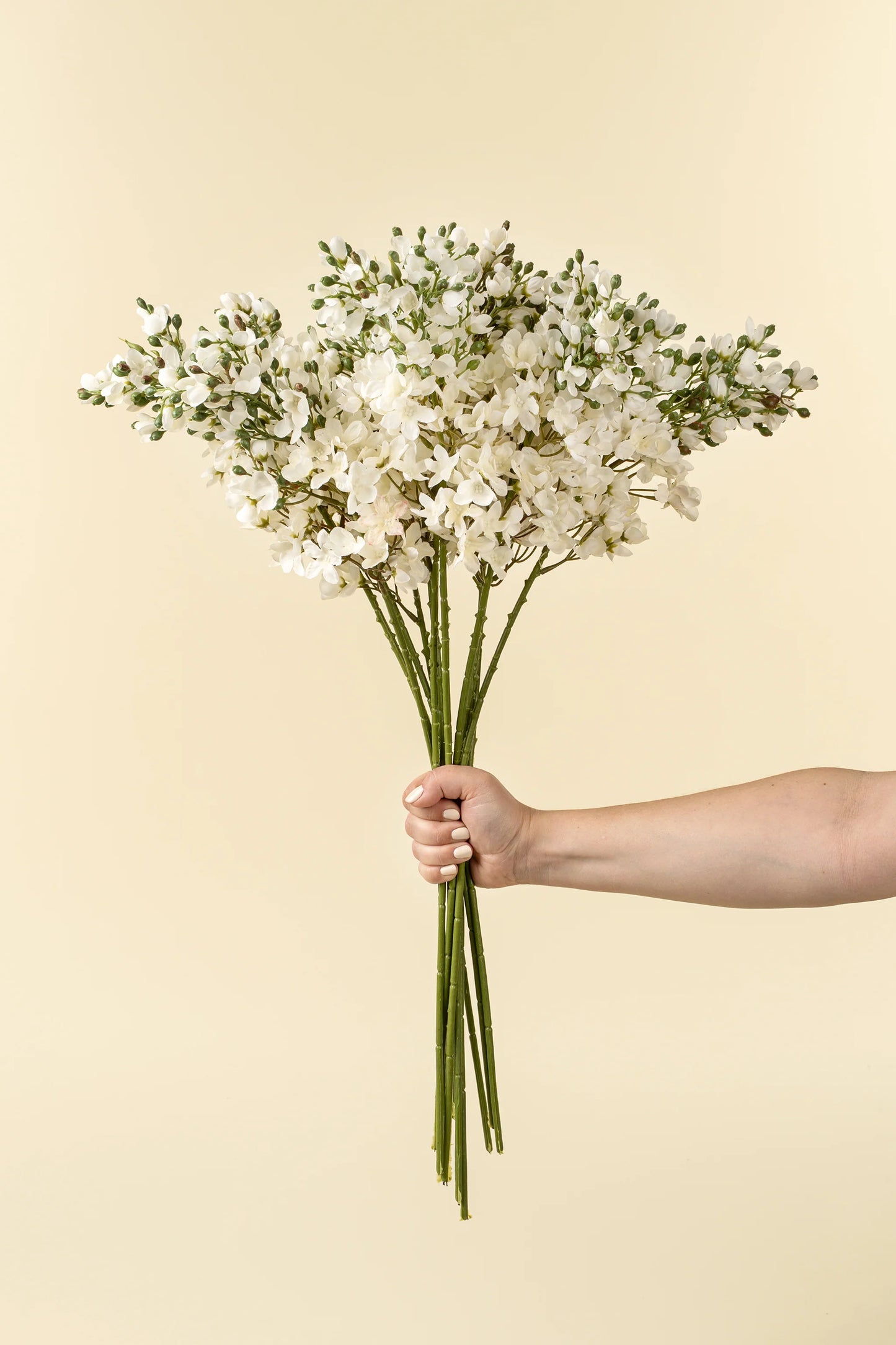 Delphinium Floral Stem - White