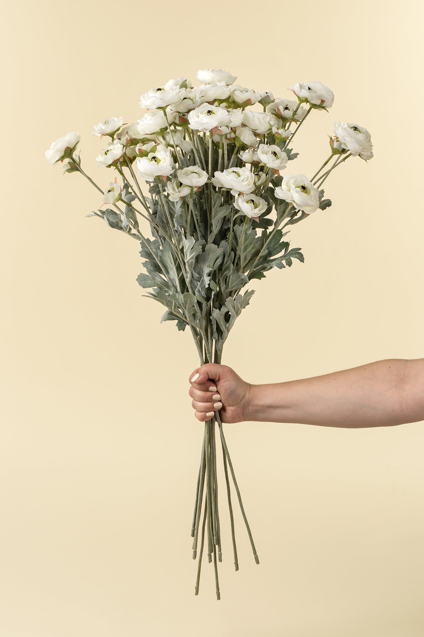 White Ranunculus Spray