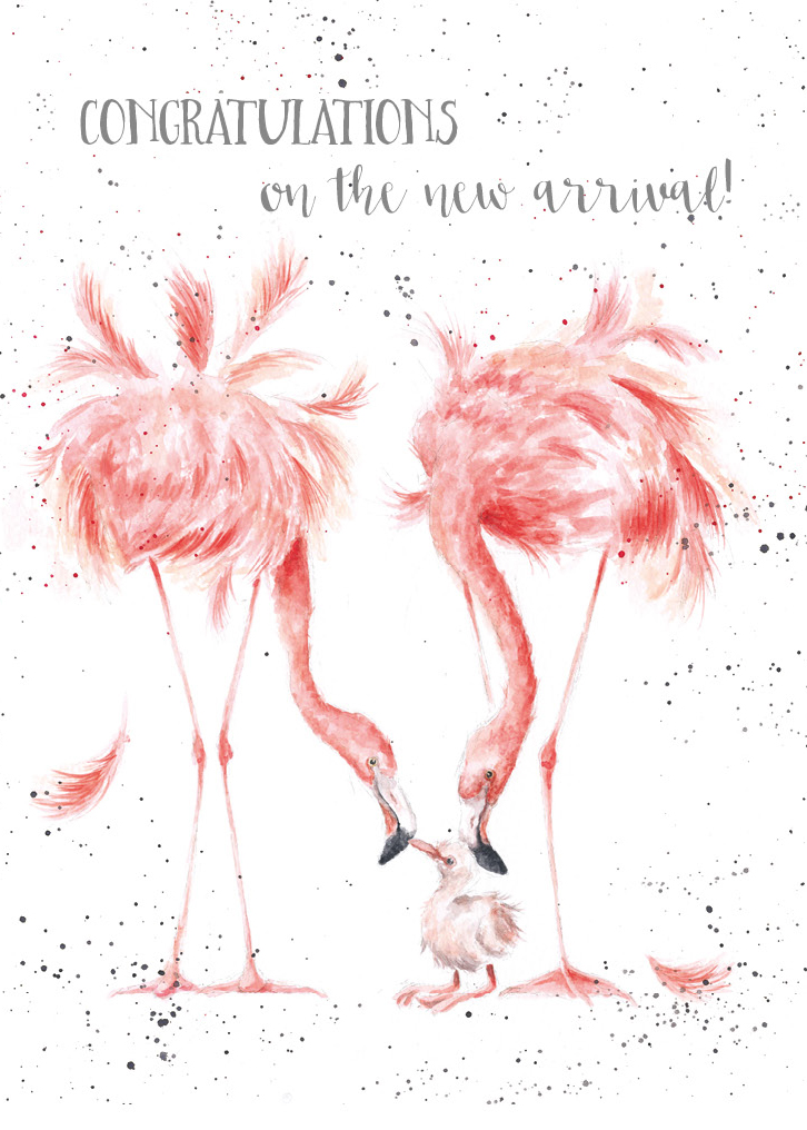 'New Arrival' Flamingo Card