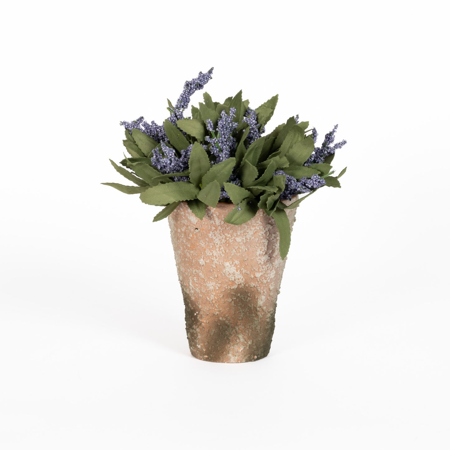 Potted Lavender Bloom Purple