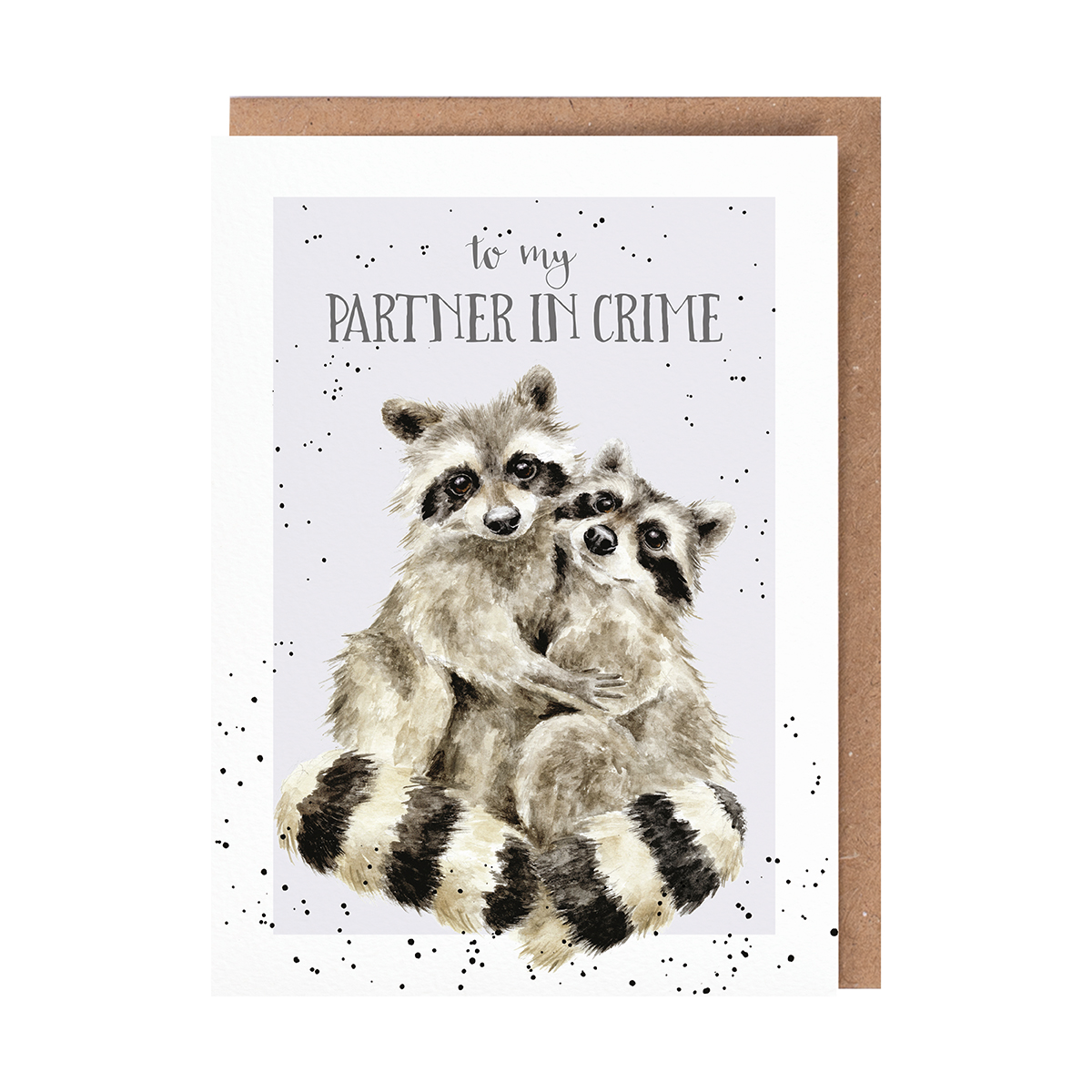 'Partners In Crime' Raccoon Anniversary Card