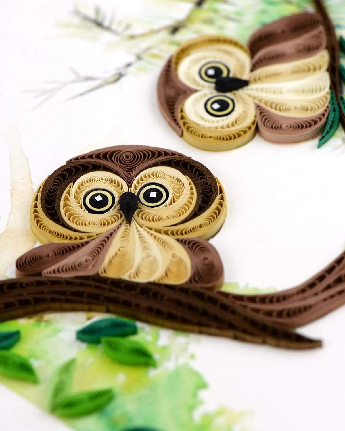 Quilled Owlets Greeting Card