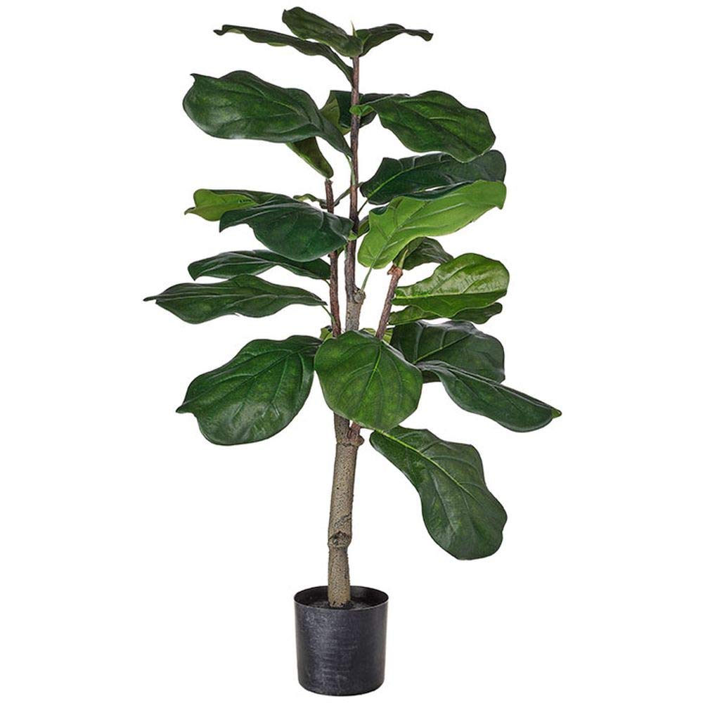 Potted Fiddle Leaf Fig Tree