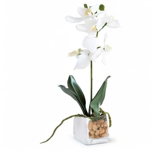 11” White Orchid In Glass
