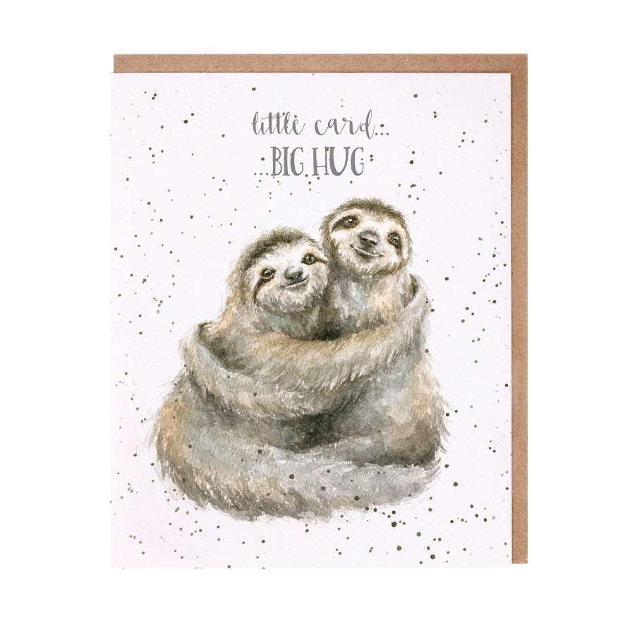 Friendship 'Little Card Big Hug' Sloth Single Card
