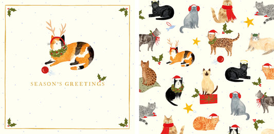 Christmas Cats - Set of 10 Cards