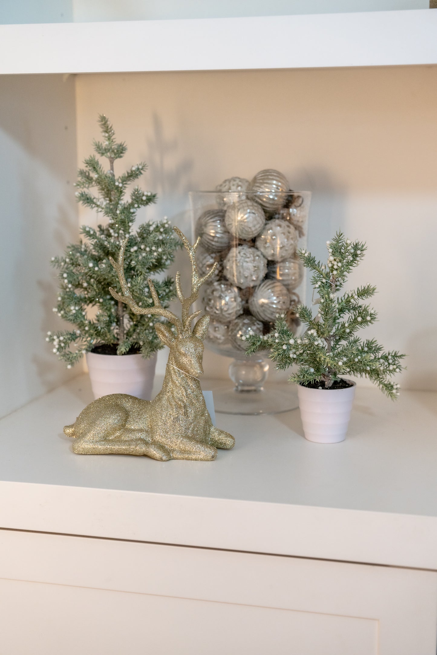 Juniper Tree with White Berries In White Ribbed Pot