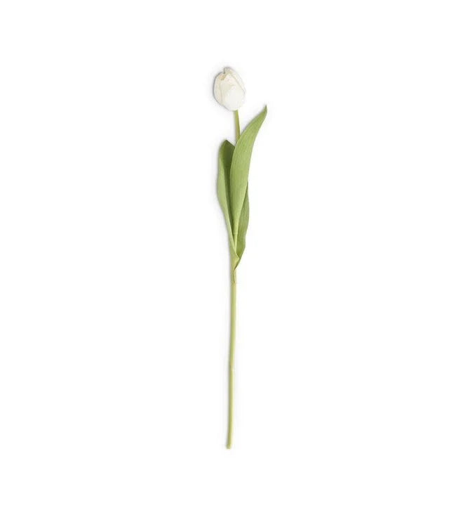 26.75 Inch Silk with Real Touch Single Tulip Stem