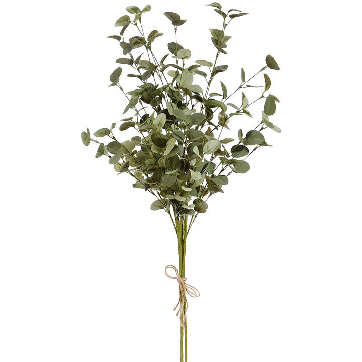 Eucalyptus Bundle 33"