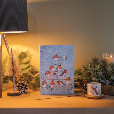 'Rockin Robins' Robin Card Pack