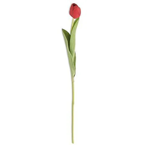 26.75 Inch Silk with Real Touch Single Tulip Stem