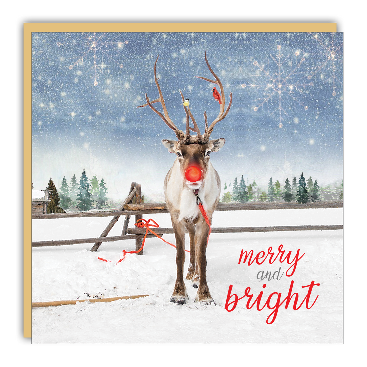 Gift Enclosure: Merry and Bright