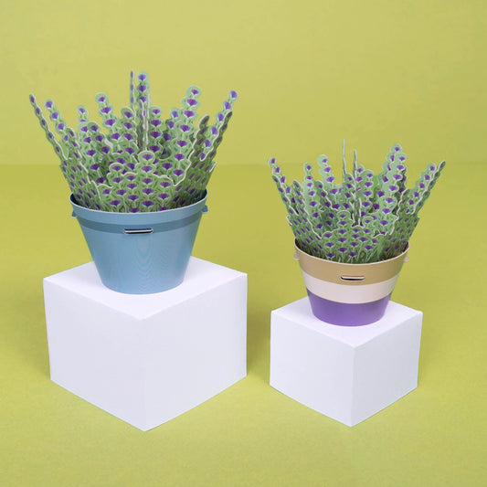 Lavender Paper Plant Kit