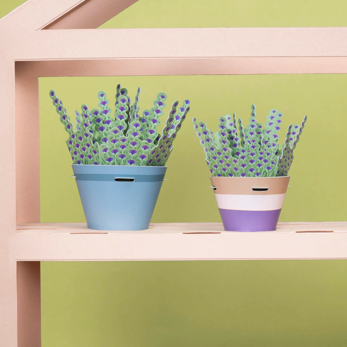 Lavender Paper Plant Kit