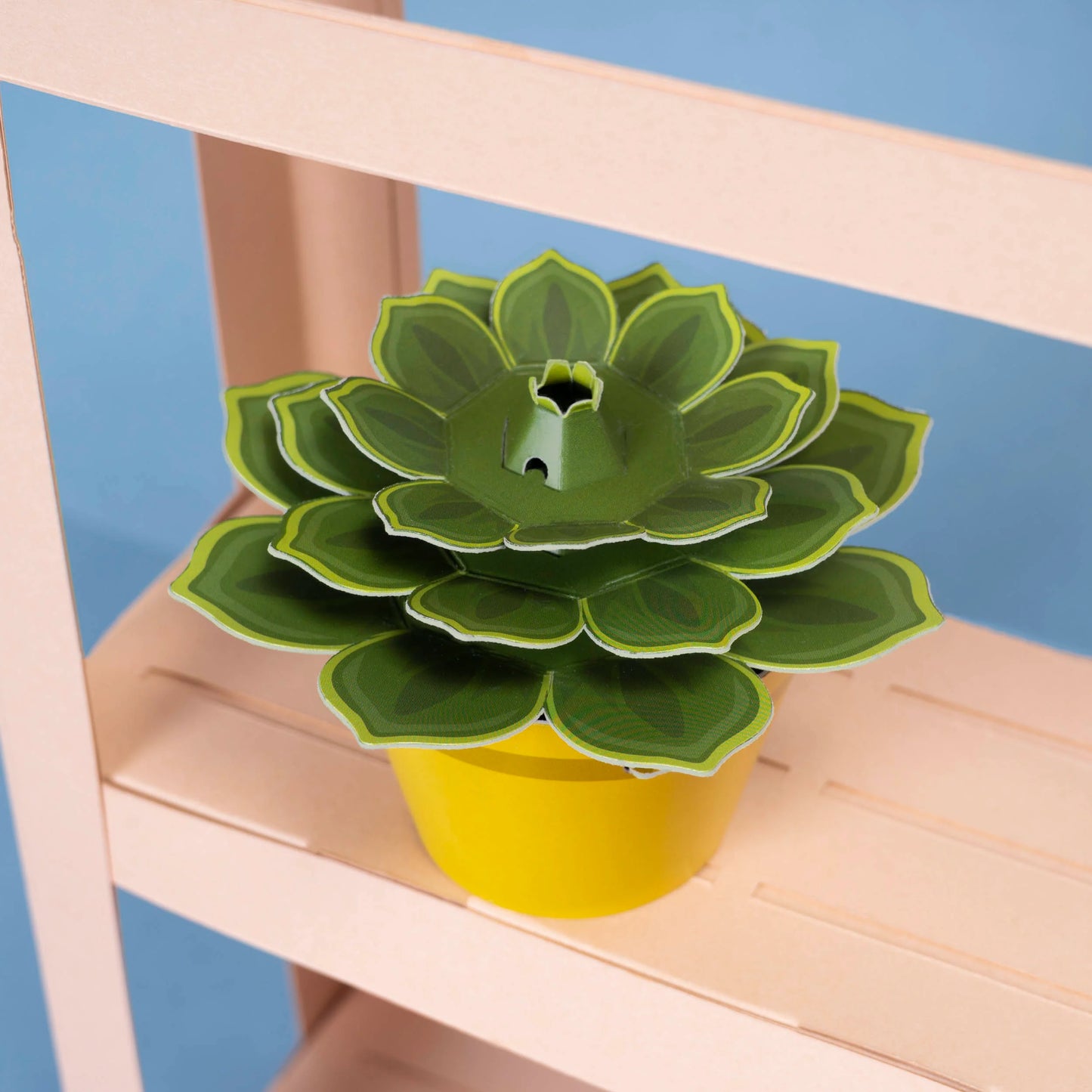Soothing Succulent Paper Plant Kit