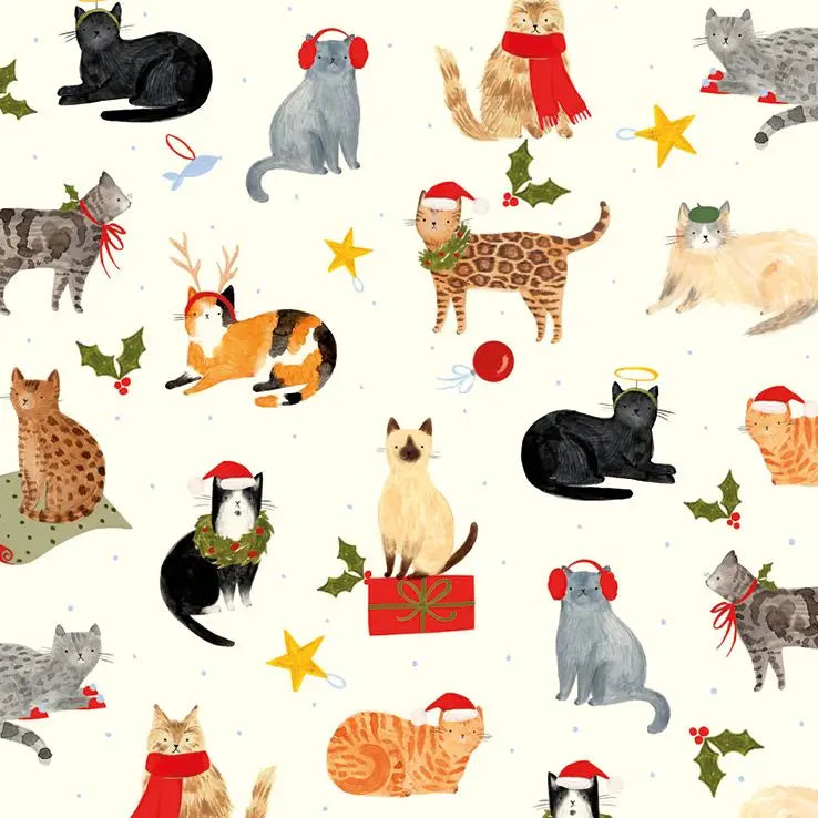 Christmas Cats - Set of 10 Cards