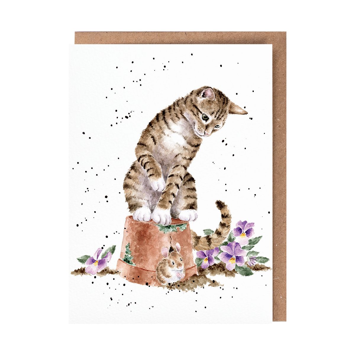 'Hide and Squeak' Cat Card