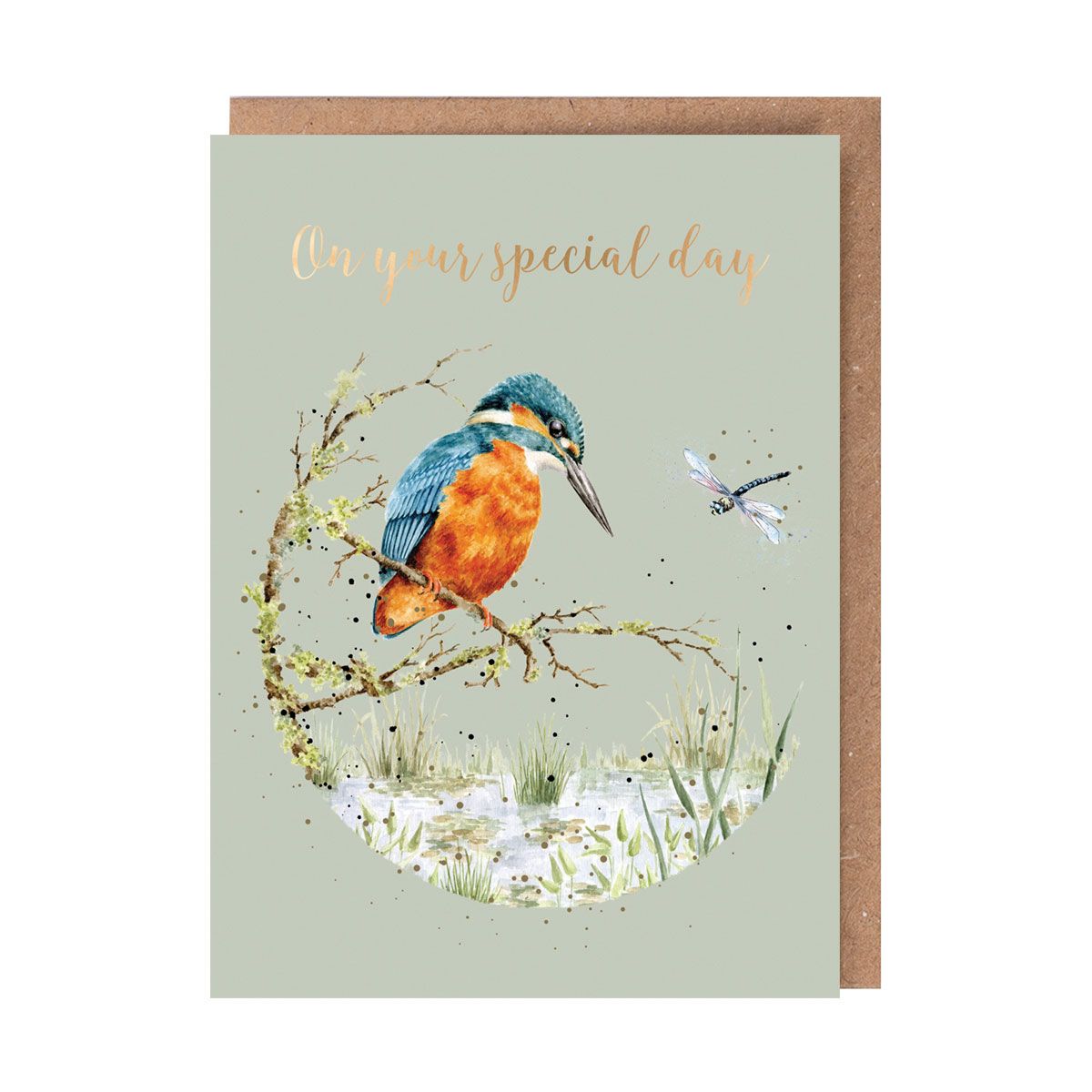'Pond Dipping' Kingfisher Birthday Card