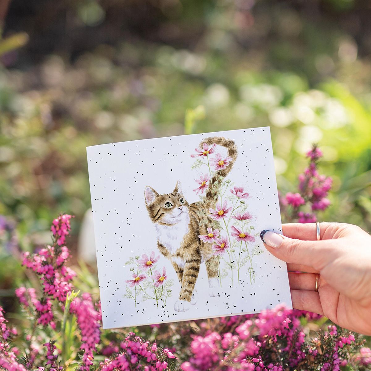 Harmony Cat Card