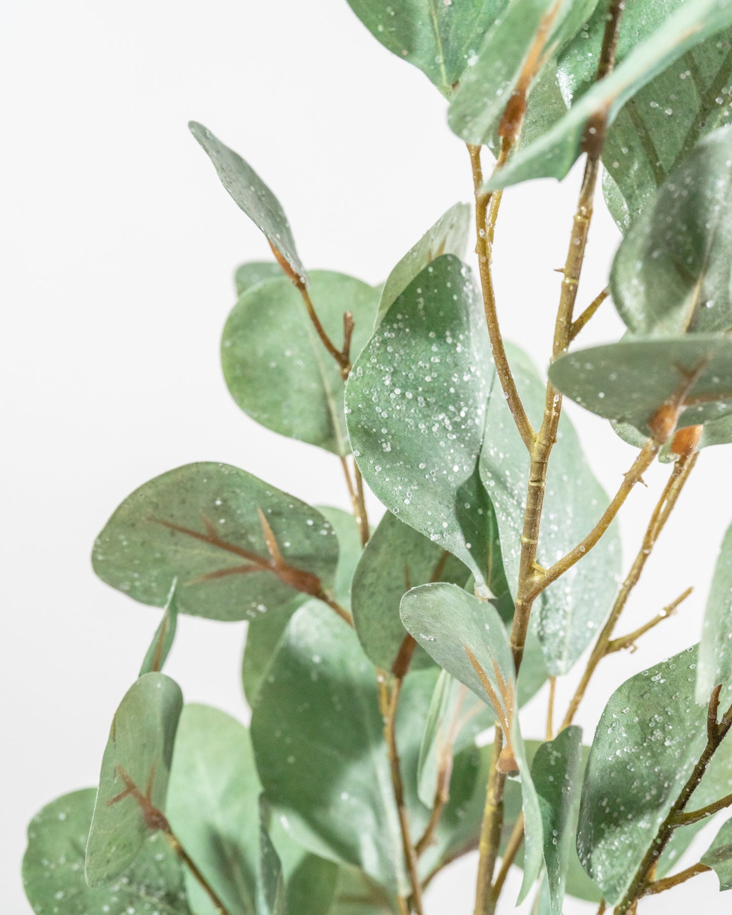 34" Glittered Eucalyptus Spray