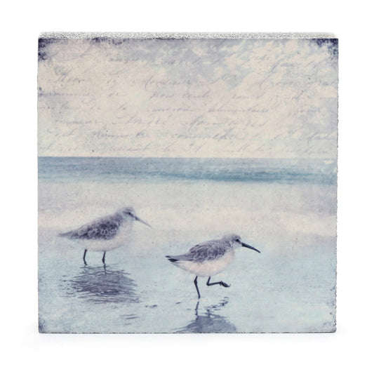 Sandpipers Art Block