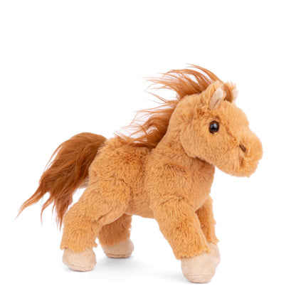 Baby Horse