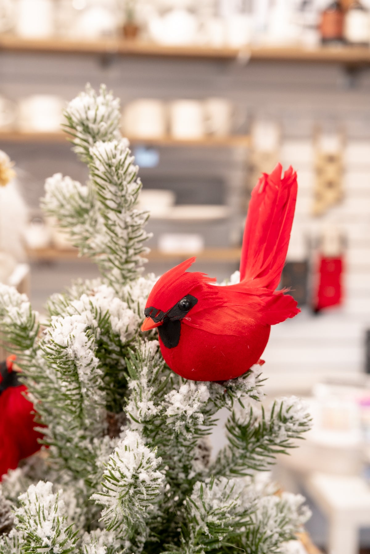 5" Chubby Cardinal Clip Ornament