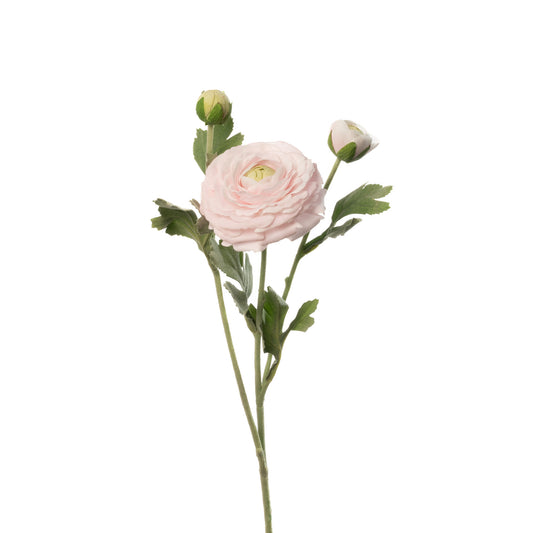 Real Touch Ranunculus - Light Pink - 19 Inch