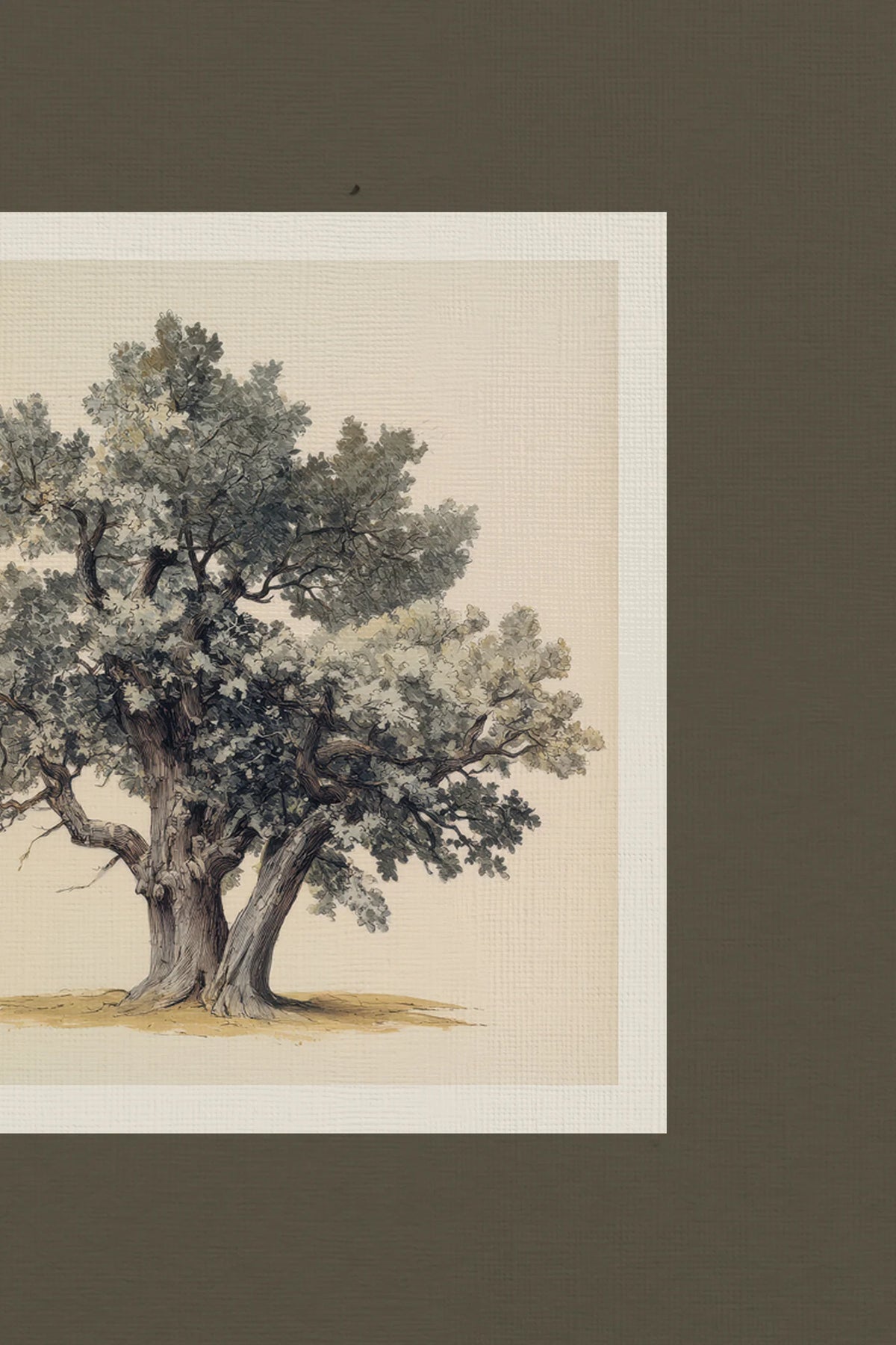 Wisdom Tree Framed Canvas Print 16 x 12