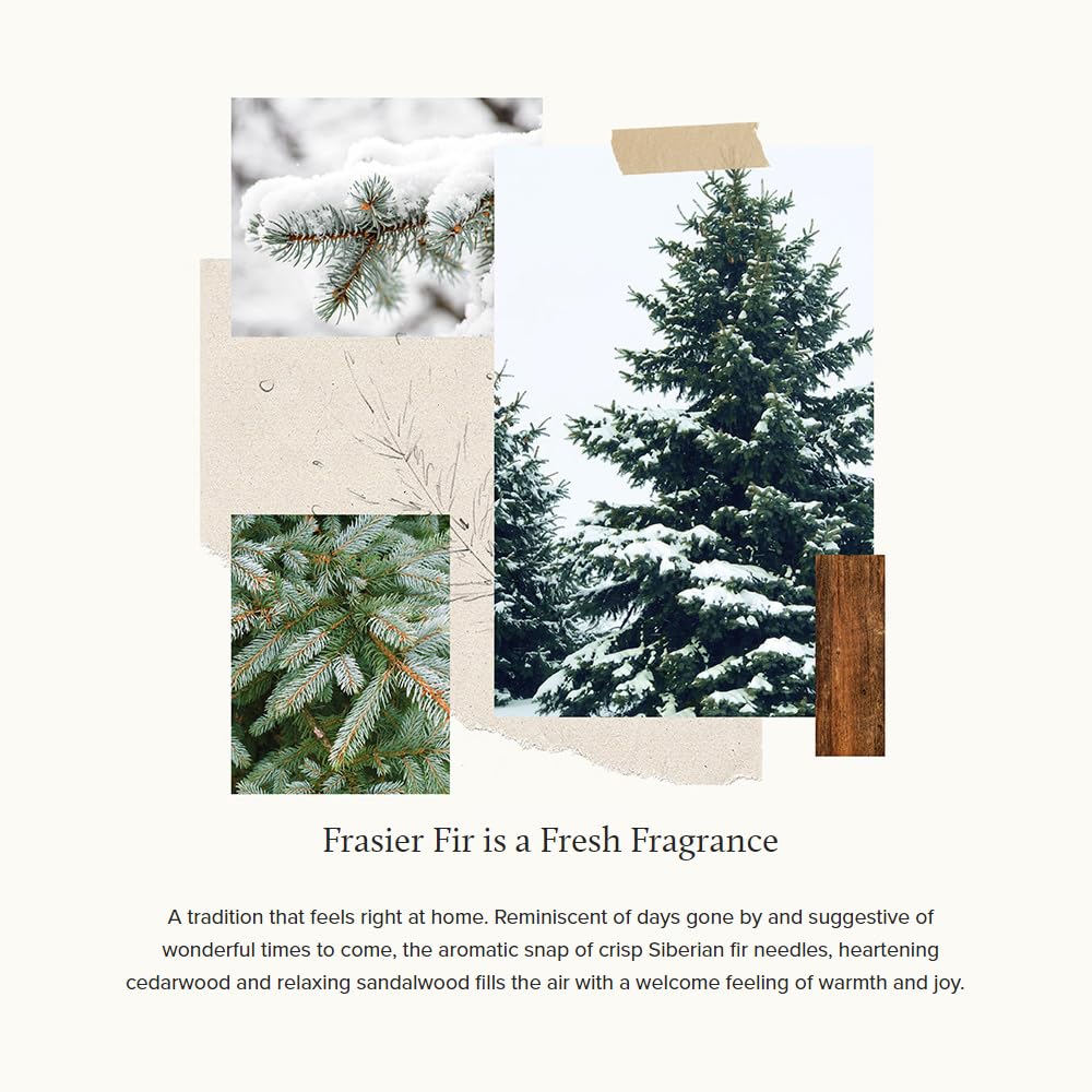 Frasier Fir Dishwashing Liquid