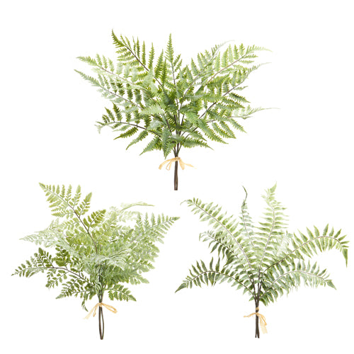 Fern Bundle 20"