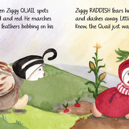 Bukowski Bears Z is for Ziggy – Children’s Alphabet Book