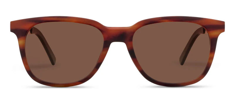 On Par Bifocal Sunglasses - Tortoise Horn
