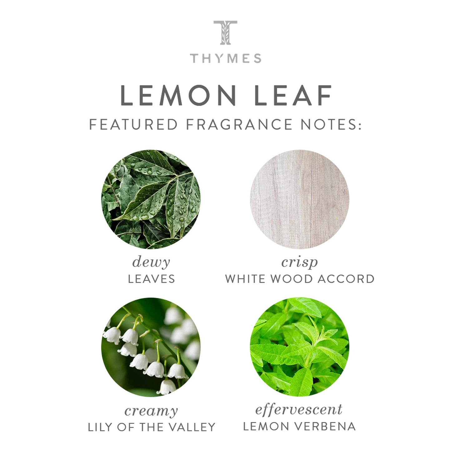 Lemon Leaf Large Hand Wash