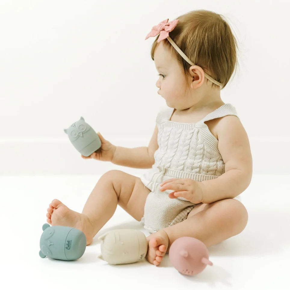 Animal Friends Silicone Bath Toys