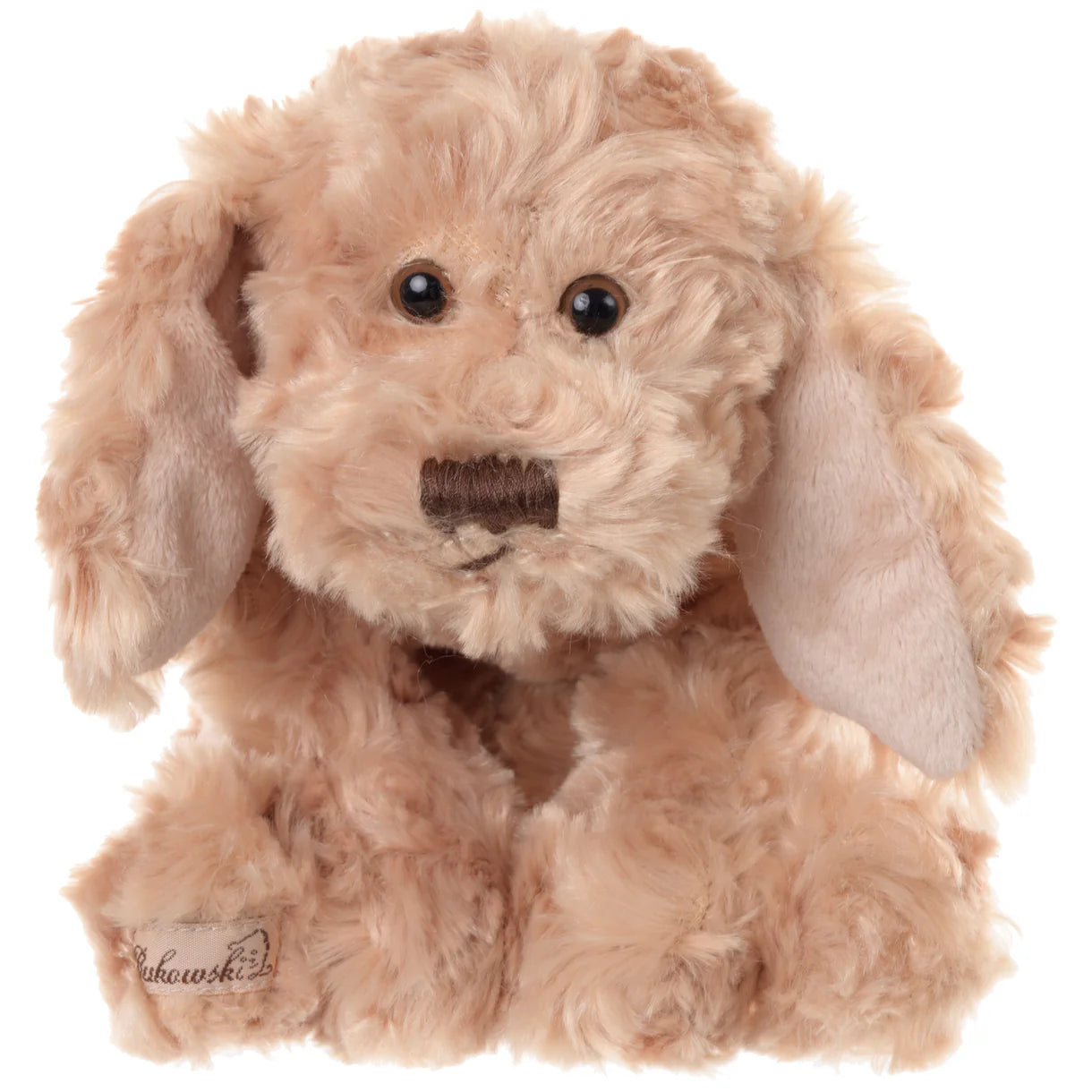 Buddy Dog