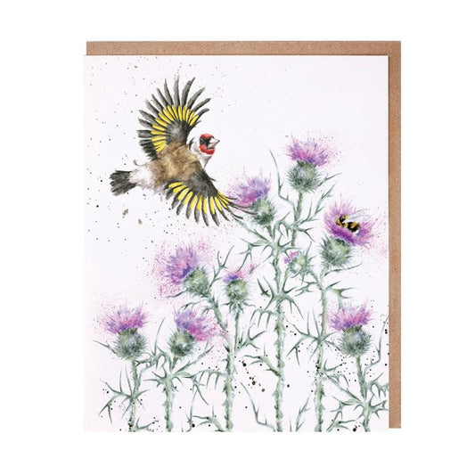 Feathers and Thistles Card