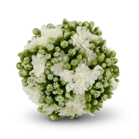 Floral Kalanchoe Ball