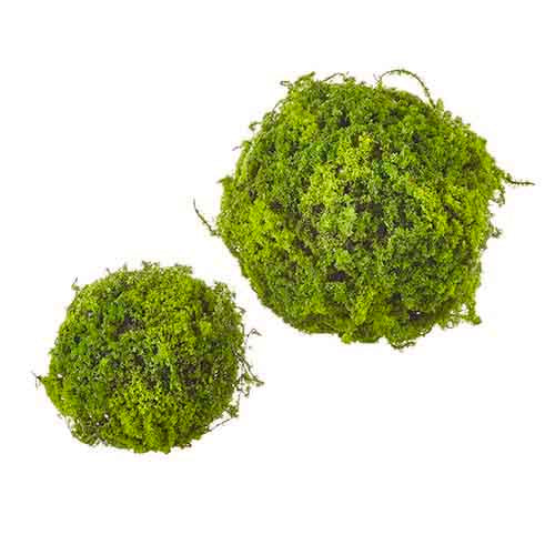 Moss Ball 7.5"