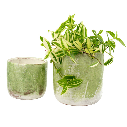 Set Of 2 Pots Lime