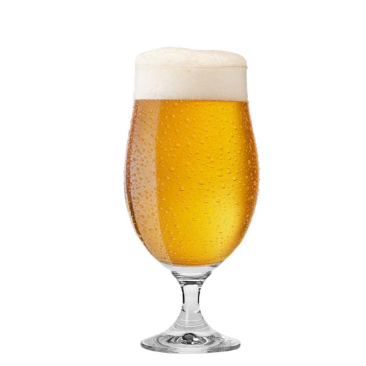 Harmony Stemmed Beer Glass Set of 6
