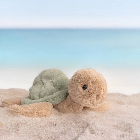 Sandy Turtle
