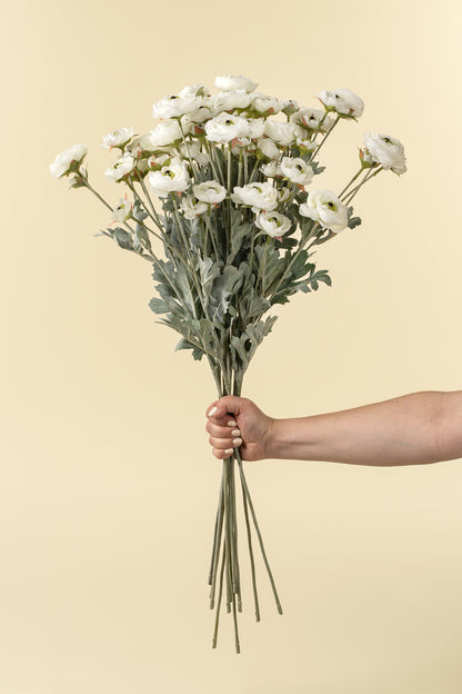 White Ranunculus Spray