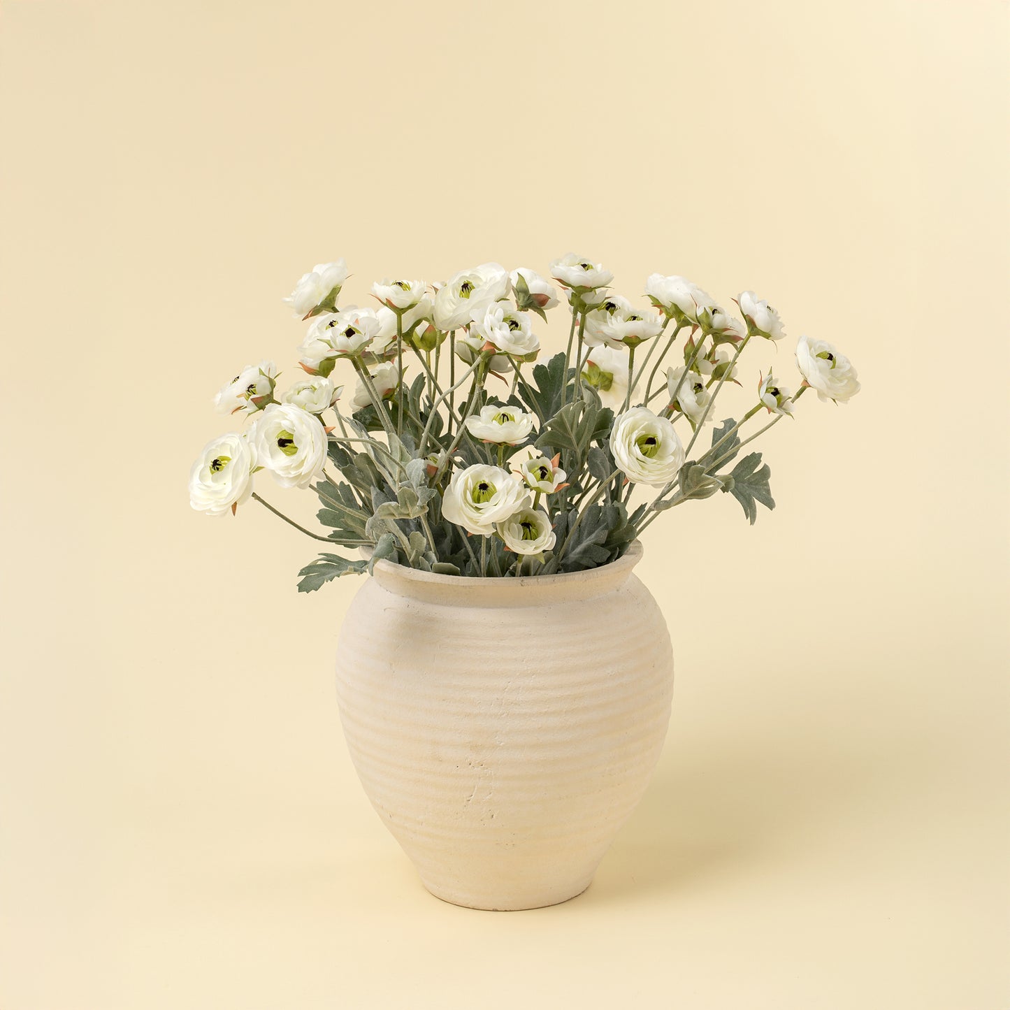 White Ranunculus Spray