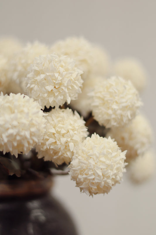 Cream Bloom Bouquet