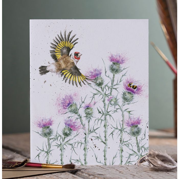 Feathers and Thistles Card